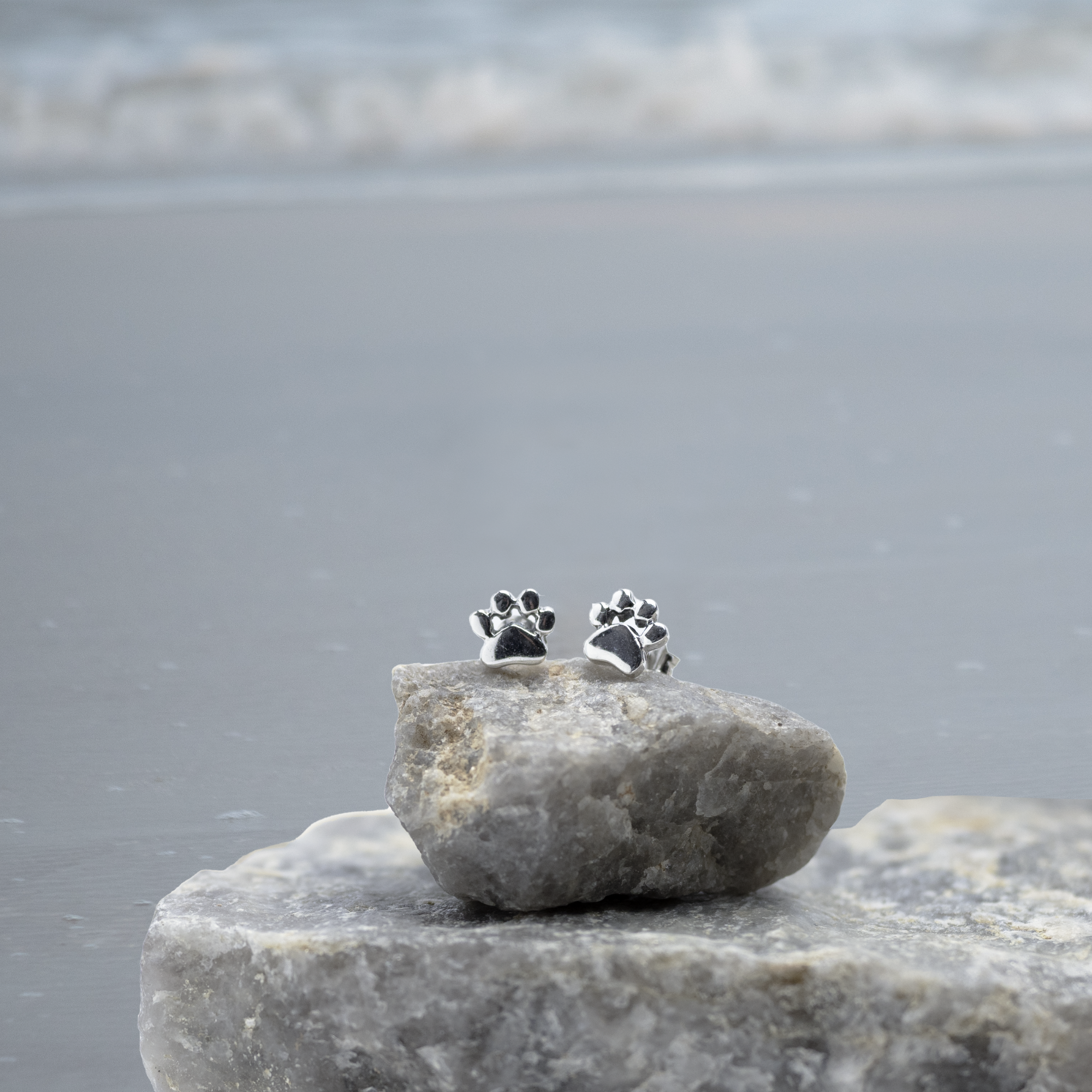 Pawsitively Perfect Paw Earrings propped on a gray rock. Hypoallergenic silver-tone.