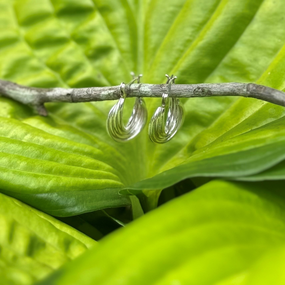 Image of sterling silver twisted hoop earrings on a twig with Hosta leaves behind. Nickel Free